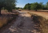 Non-developable land for sale on Calle Evaristo Calatayud, Montserrat, ref: TR342646 photo