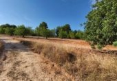 Non-developable land for sale on Calle Evaristo Calatayud, Montserrat, ref: TR342646 photo