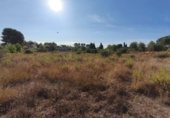 Non-developable land for sale on Calle Evaristo Calatayud, Montserrat, ref: TR342646 photo