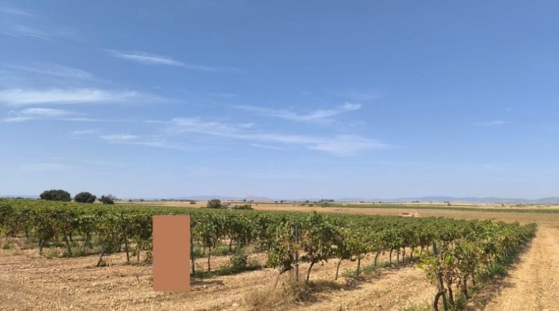 Ciudad Real - Torralba de Calatrava - 83000m2