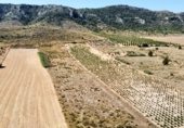 Terreno no urbanizable en venta en la Avenida del Santuario, Villena, ref: TR337577 foto