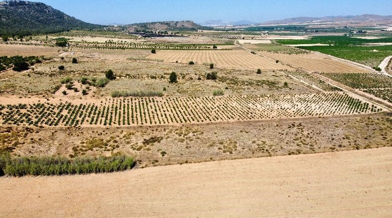 Аликанте - Villena - 14980m2