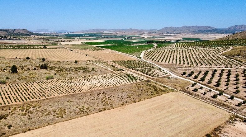 Аликанте - Villena - 14980m2