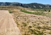 Terreno no urbanizable en venta en la Avenida del Santuario, Villena, ref: TR337577 foto