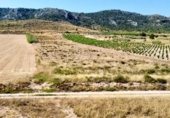 Terreno no urbanizable en venta en la Avenida del Santuario, Villena, ref: TR337577 foto