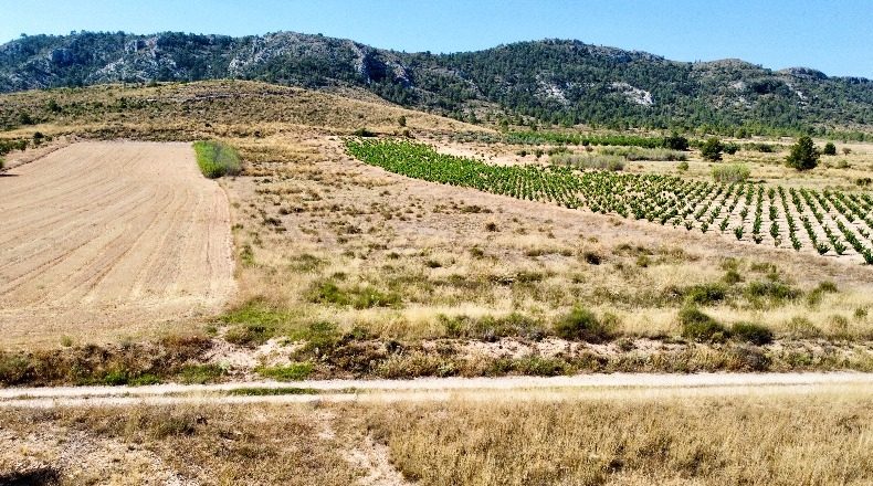 Аликанте - Villena - 14980m2