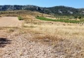 Terreno no urbanizable en venta en la Avenida del Santuario, Villena, ref: TR337577 foto