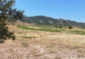 Terreno no urbanizable en venta en la Avenida del Santuario, Villena, ref: TR337577 foto