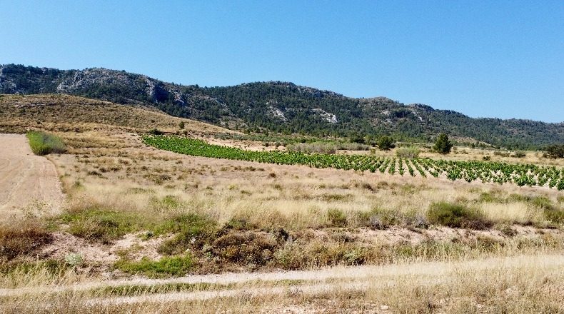 Аликанте - Villena - 14980m2
