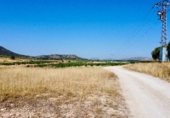 Terreno no urbanizable en venta en la Avenida del Santuario, Villena, ref: TR337577 foto