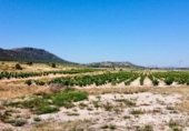 Terreno no urbanizable en venta en la Avenida del Santuario, Villena, ref: TR337577 foto