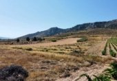Terreno no urbanizable en venta en la Avenida del Santuario, Villena, ref: TR337577 foto