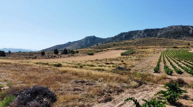 Аликанте - Villena - 14980m2