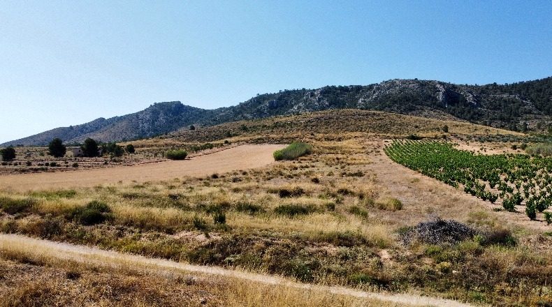 Аликанте - Villena - 14980m2