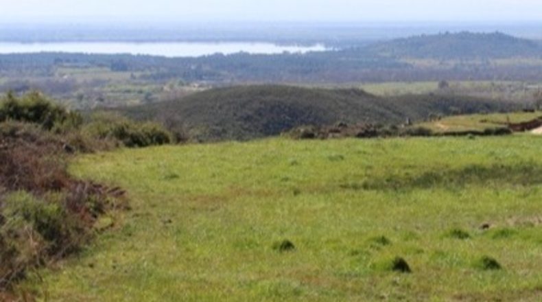 Ávila - Candeleda - 10814m2