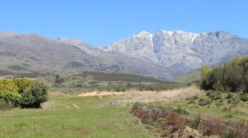 Ávila - Candeleda - 10814m2