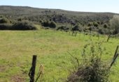 Terreno no urbanizable en venta en la AV-P-716, Candeleda, ref: TR337966 foto