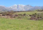 Terreno no urbanizable en venta en la AV-P-716, Candeleda, ref: TR337966 foto