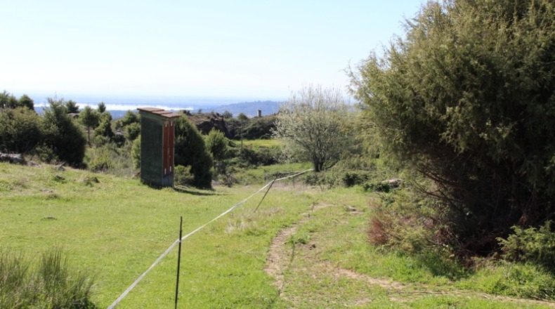 Ávila - Candeleda - 10814m2