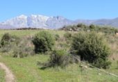Terreno no urbanizable en venta en la AV-P-716, Candeleda, ref: TR337966 foto