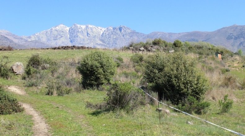 Ávila - Candeleda - 10814m2