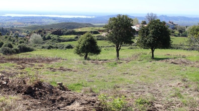 Ávila - Candeleda - 10814m2