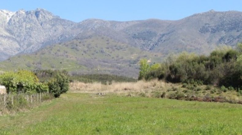 Ávila - Candeleda - 10814m2