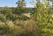 Land suitable for development for sale on Carcedo de Burgos, ref: TR337999 photo