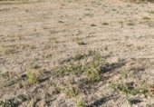 Land suitable for development for sale on Carcedo de Burgos, ref: TR337999 photo