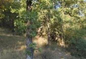 Land suitable for development for sale on Carcedo de Burgos, ref: TR337999 photo