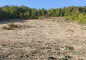Land suitable for development for sale on Carcedo de Burgos, ref: TR337999 photo