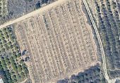 Non-developable land for sale on llutxent casa ciscar, Llutxent, ref: TR338074 photo