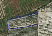 Terreny no urbanitzable en venda a la LLUTXENT CASA CISCAR, Llutxent, ref.: TR339121 foto