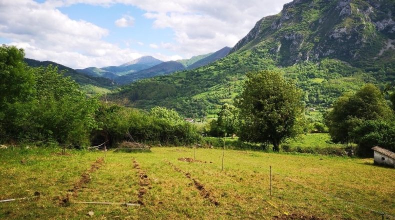 Asturias - Aciera - 3200m2