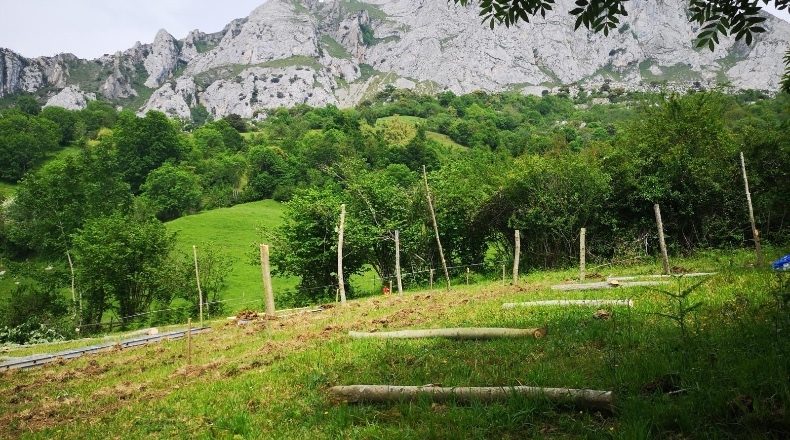 Asturias - Aciera - 3200m2