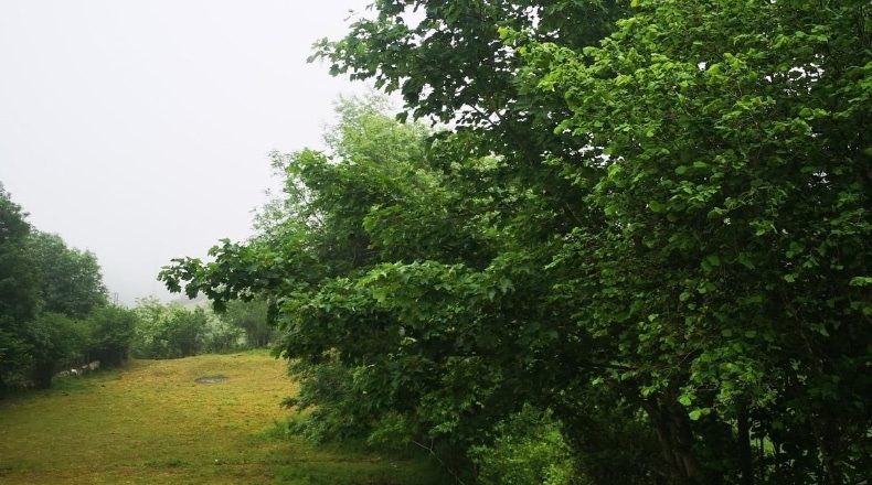 Asturias - Aciera - 3200m2