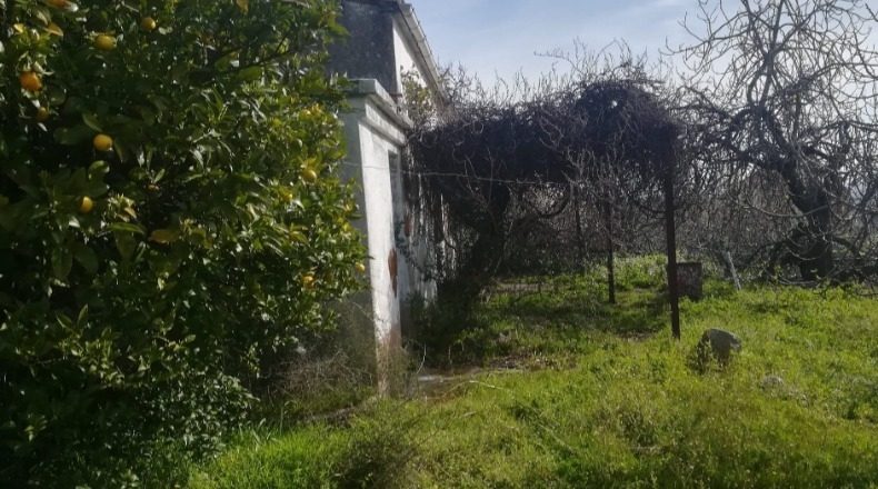 Avila - Candeleda - 1209m2