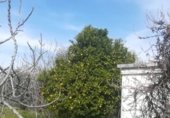 Terreno con Ruinas en venta en la Calle de la Fuente Blanca, Candeleda, ref: TR339850 foto