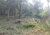 Land suitable for development for sale on Cova del drac 12, Sant Feliu del Racó, ref: TR340373 photo