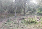 Land suitable for development for sale on Cova del drac 12, Sant Feliu del Racó, ref: TR340373 photo