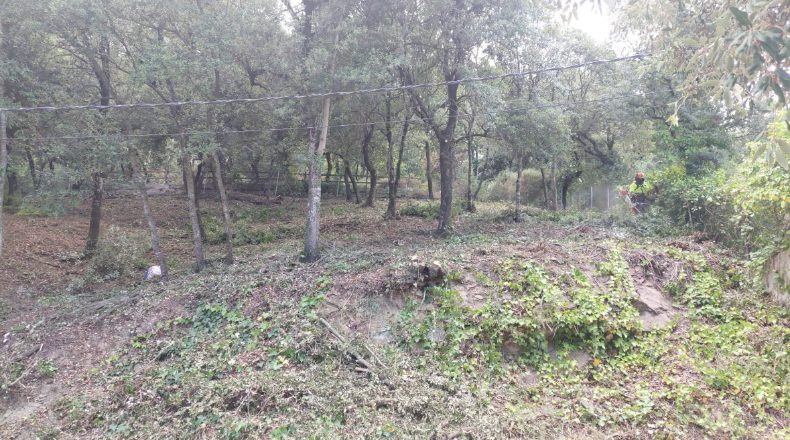 Barcelona - Sant Feliu del Racó - 1050m2