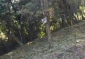 Land suitable for development for sale on Cova del drac 12, Sant Feliu del Racó, ref: TR340373 photo
