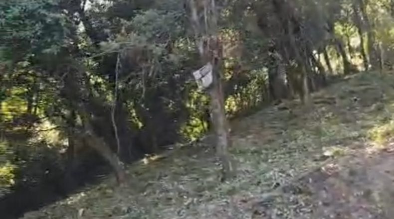Barcelona - Sant Feliu del Racó - 1050m2
