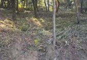 Land suitable for development for sale on Cova del drac 12, Sant Feliu del Racó, ref: TR340373 photo
