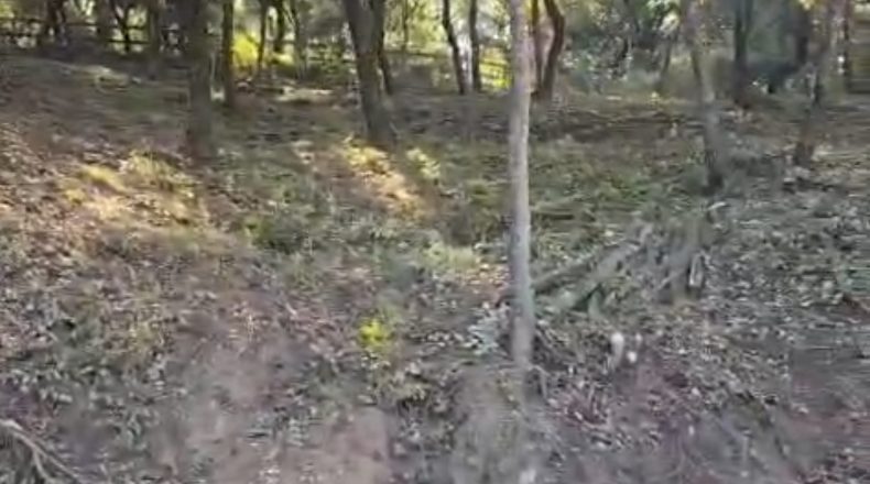 Barcelona - Sant Feliu del Racó - 1050m2