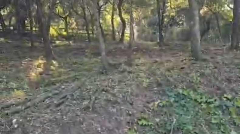 Barcelona - Sant Feliu del Racó - 1050m2