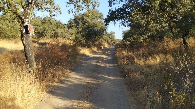 Córdoba - Obejo - 38106m2