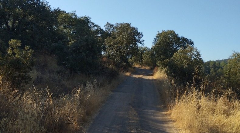 Córdoba - Obejo - 38106m2
