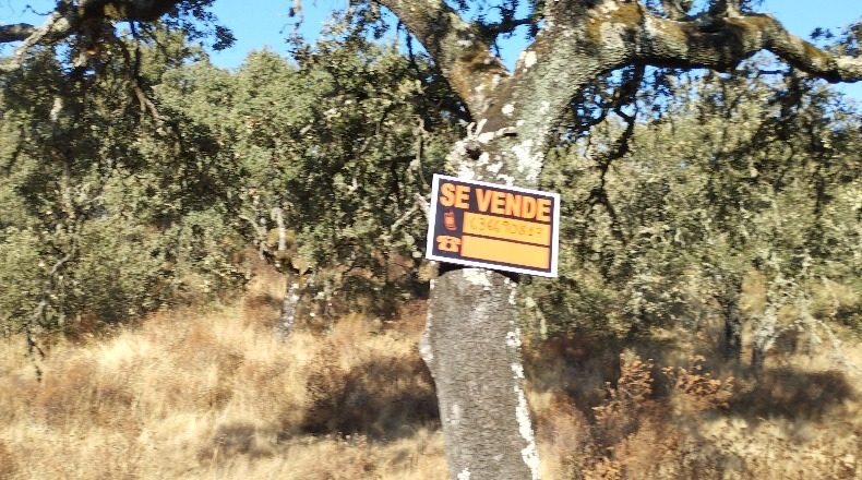 Córdoba - Obejo - 38106m2