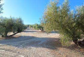 Martos 10453&nbsp;м²